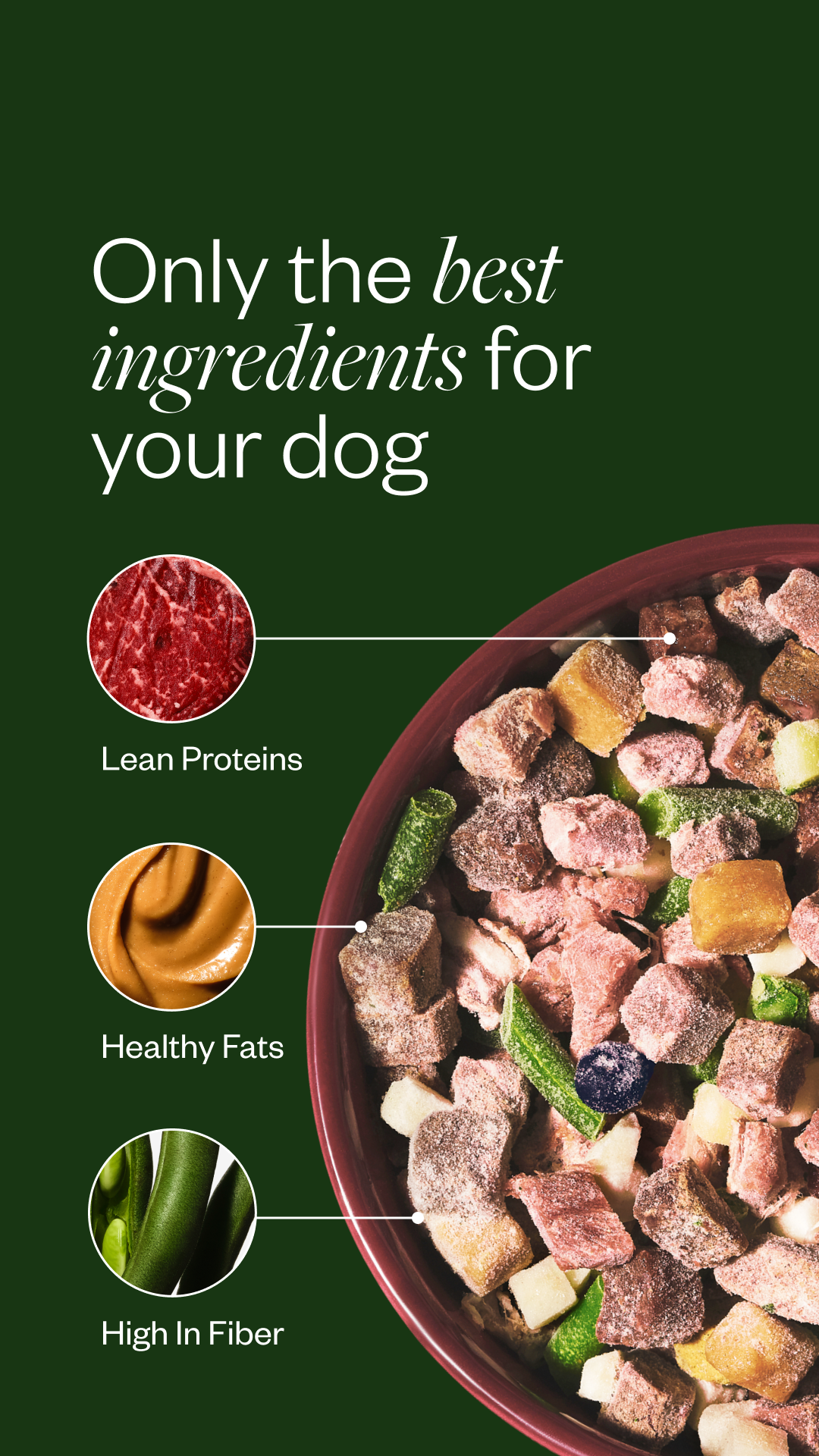 Maev — Raw dog-food bowl with protein, fat, and fiber callouts