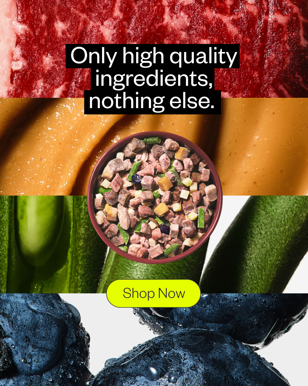 Maev — Raw dog-food bowl layered over ingredient close-ups