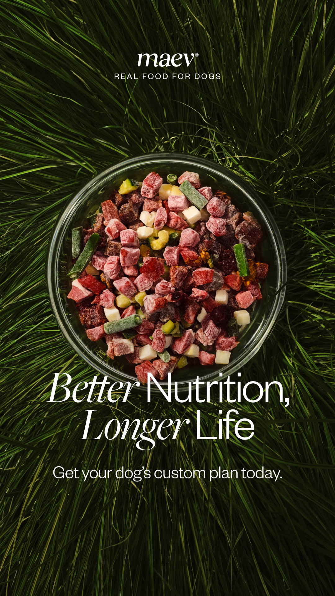 Maev — Raw dog-food bowl in grass with a custom-plan message