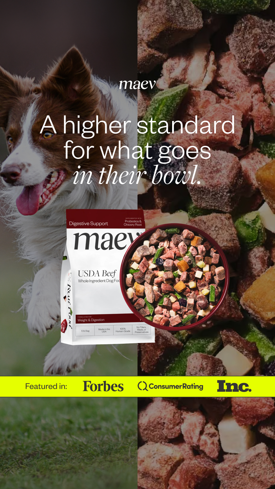 Maev — Dog portrait, raw-food ingredients, and a beef product pouch