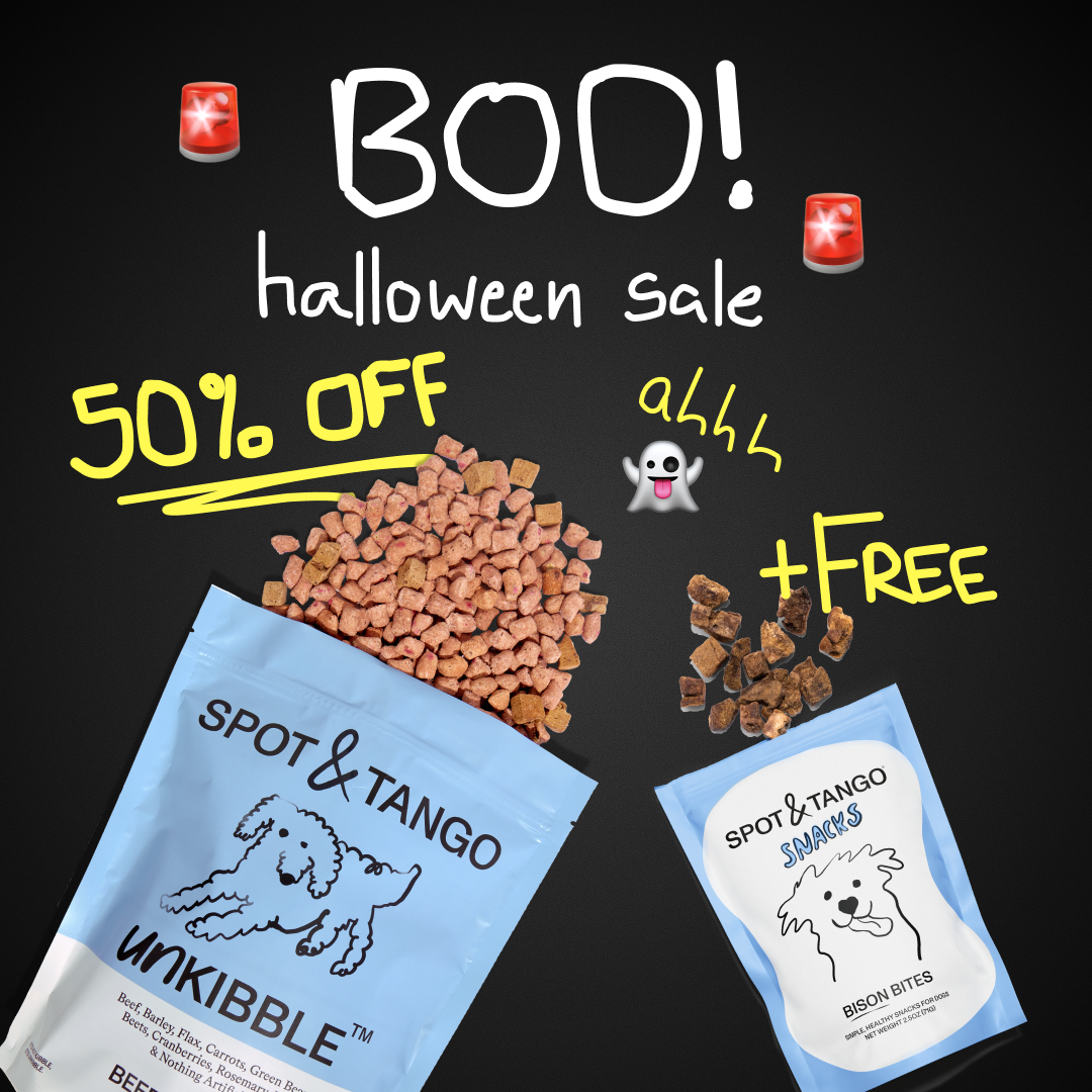 Spot & Tango — UnKibble Halloween offer in a handwritten ghost layout