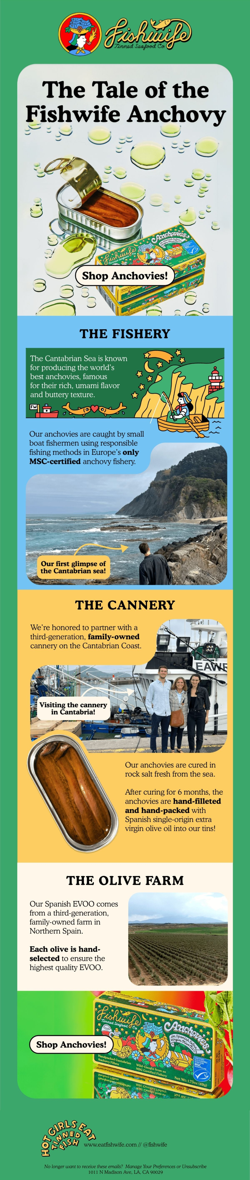 Fishwife — Fishwife traces its anchovies through the Cantabrian fishery, family cannery and olive farm.
