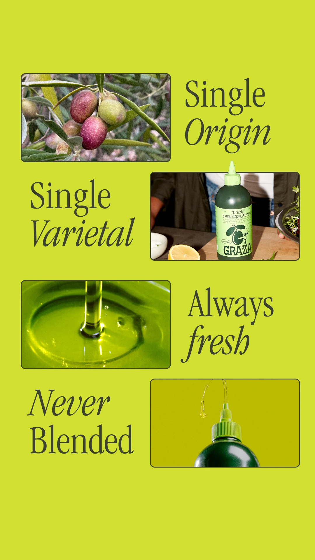Graza — Made from the world’s freshest olives