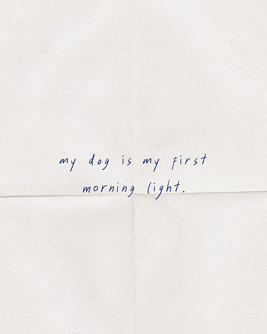 Maev — Five handwritten notes about the daily bond with a dog