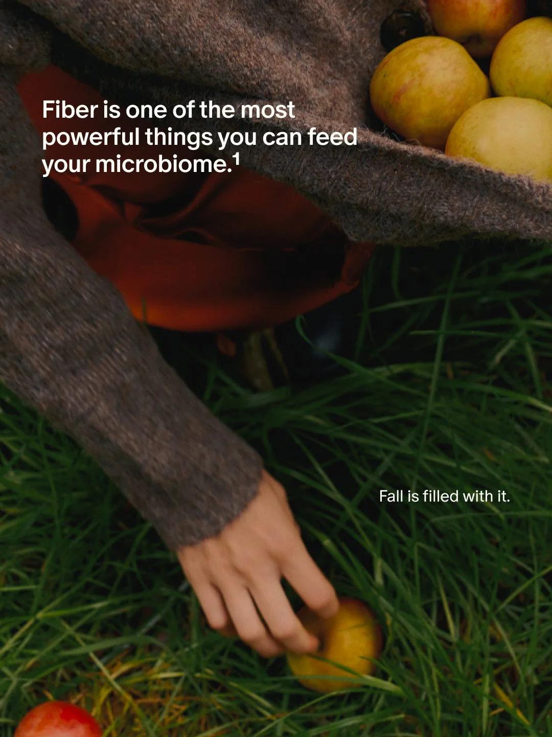 Seed — A fall fiber guide with seasonal produce and a grocery list