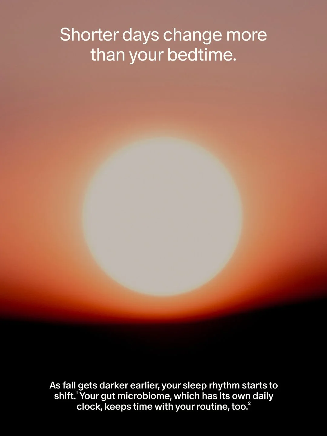 Seed — Shorter days, sleep and the gut: a seasonal education carousel