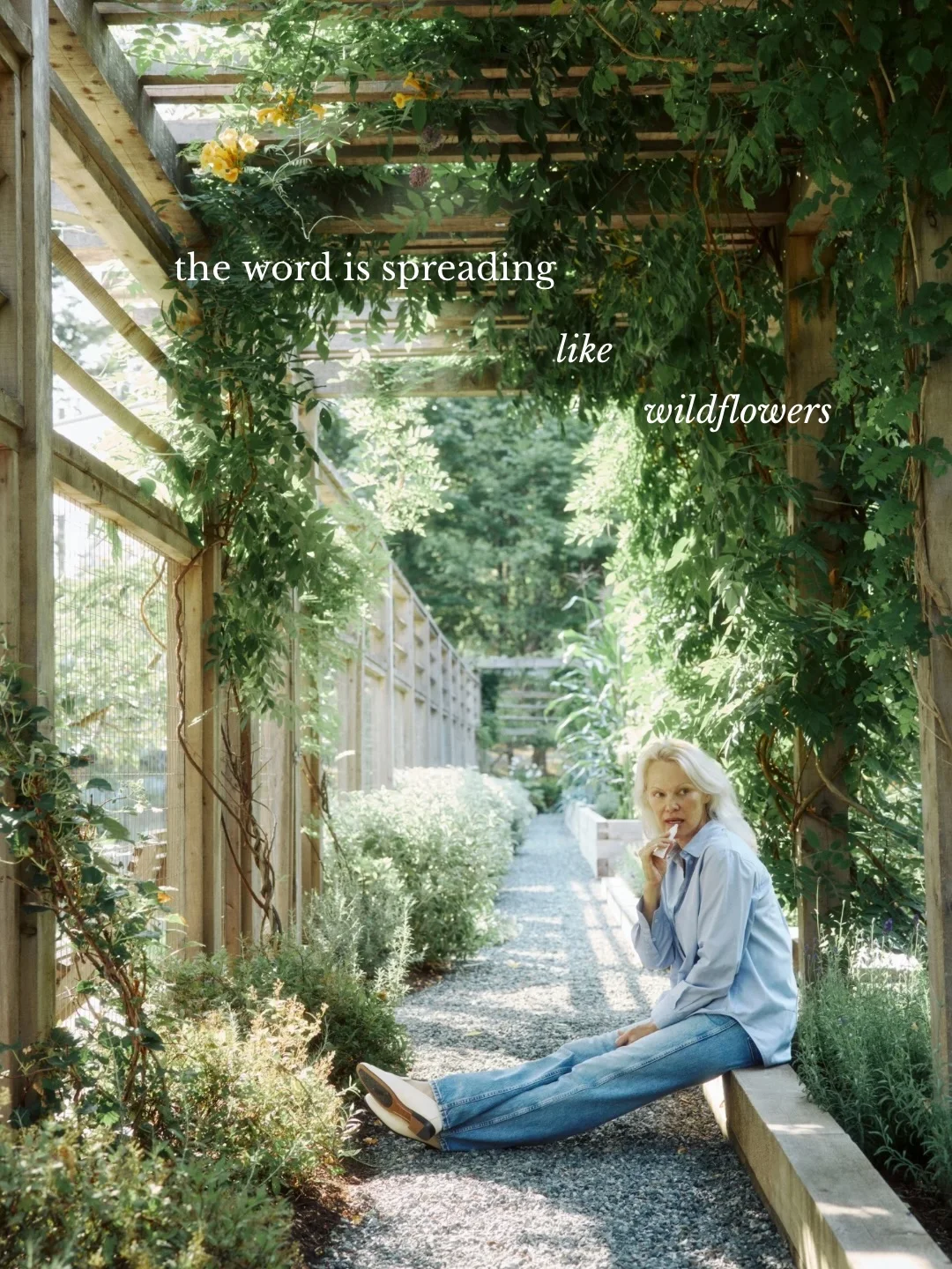 Sonsie — A garden portrait followed by Sonsie press excerpts