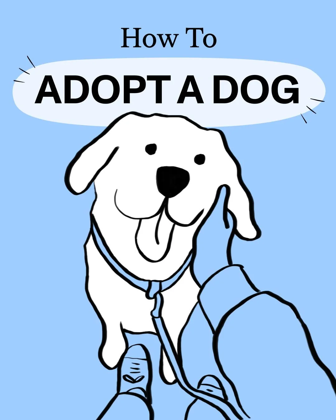 Spot & Tango — A seven-step dog-adoption guide illustrated in blue and black